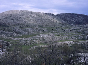 L&rsquo;altopiano carsico di Campo di Venza.