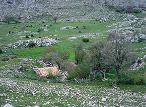 Stazzo ai margini di Campo di Venza.