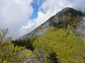 Scorcio della Cresta Ovest della Montea.