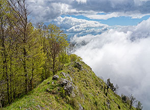 Scorcio del sottile filo della Cresta Est de la Castelluccia.