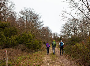 In cammino alle pendici del Monte Bertone.