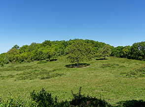 In vista della Cima Nord del Monte Piantangeli.