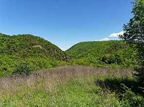 Vista sull&rsquo;ampia valle boscosa del Fosso di Costa Grande.
