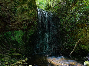 La Cascata del Fosso di Costa Grande, un angolo nascosto tra i boschi della Tolfa.