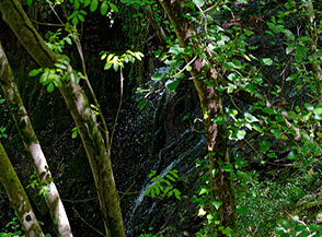 Bocca della Cascata del Fosso di Costa Grande.