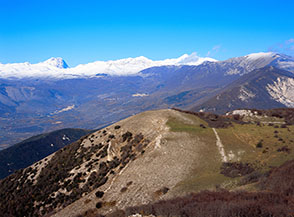 Il Colle della Ripuccia, trampolino di lancio immaginario verso la bianca catena del Gran Sasso.