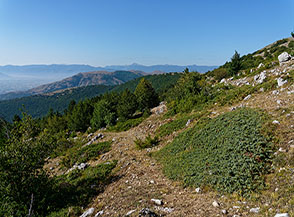 All&rsquo;inizio del sentiero alle pendici del Monte Pidocchio.