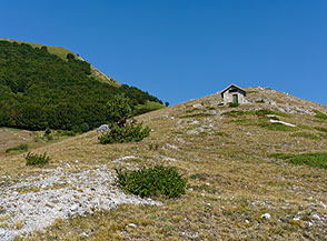 Sul tratto iniziale della cresta del Monte Pidocchio sopra il Bosco di Fonte Fredda.