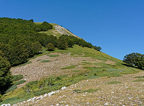 Il tratto ripido della cresta di Monte Pidocchio.