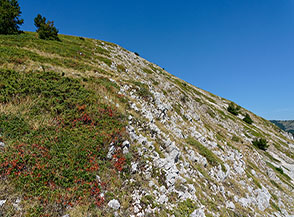 &ldquo;Double face&ldquo; (sul filo di cresta del Monte Pidocchio).