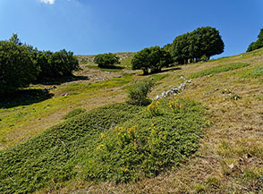 Scorcio estivo allo Iaccio dei Santi.