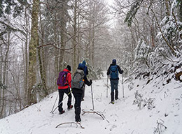 Monte Pietra Cappella e Guardia del Falcone