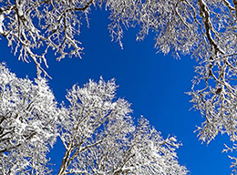 Monte Pietra Gentile e il Codone