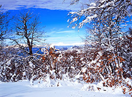 Monte Pietra Gentile e M.Tagliareccia