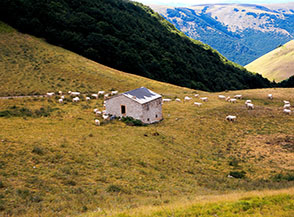 Il grosso Casale Gasparri alla testata della Valle del Rio Sacro, purtroppo in abbandono.