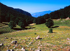 I primi prati alla testata del Vallone di Colloreto.