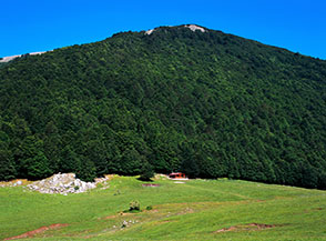 Il boscoso Versante Est di Serra del Prete abbraccia i prati del Piano di Gaudolino ed il piccolo rifugio ai suoi margini.