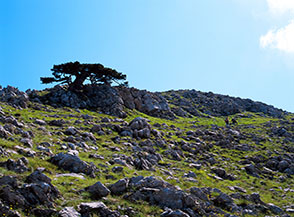 Salendo lungo la Cresta Sud-Ovest del Pollino.