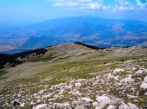 Il vasto pendio che dalla Madonnina del Pollino degrada verso la Serra del Pollinello.