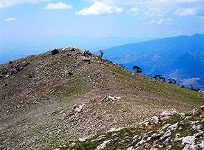 Il brullo cucuzzolo della Serra del Pollinello.