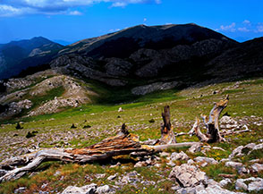 Scendendo dalla Serra del Pollinello verso la Dolina del Pollinello.