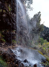 La piccola cascata subito sotto la Sorgente di Tufarazzo.