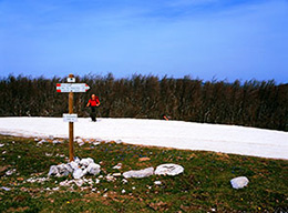 Monte Polveracchio