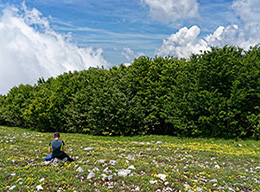 Monte Polveracchio e Costa della Praina
