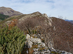 Sul filo della Cresta Sud del Monte Porillo (le Cimate) verso la cima.