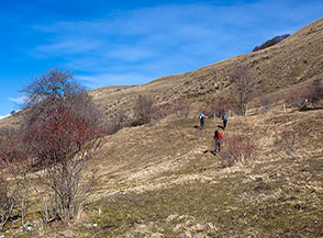 Rimontando il pendio verso il crinale di Costa delle Cavalle.