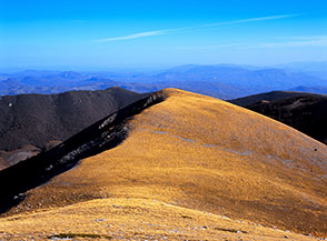 La dolce cresta che da Cima delle Gravare di Sotto conduce a Finestra Aremogna .