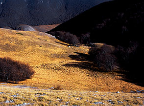 Piccola radura ai margini del bosco scendendo dal Monte di Valle Fredda verso il Piano dell&rsquo;Aremogna.