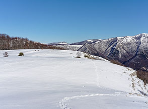 La cima topografica di Colle Campitellino.
