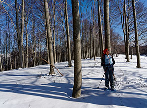 L&rsquo;anonima e boscosa cima di Colle della Colubretta.