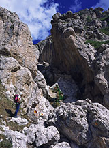 Un selvaggio scorcio della Via dei Laghetti.