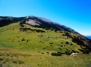 Il Monte Rapina: rilievo poco marcato all&rsquo;inizio della Cresta Nord del Pesco Falcone.