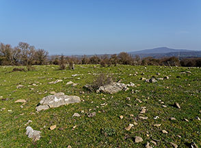 Radure pascolive si alternano alla macchia boscosa nella salita al Monte Regolano.