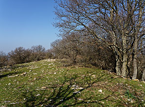 Sulla dolce Cresta Ovest di Monte Regolano.