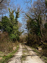 Il viale lungo cui si cala in Valle Fravola.