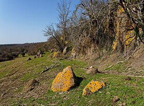 Scorcio di paesaggio sul fondo di Valle Fravola.