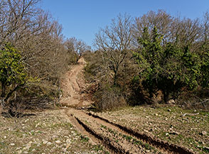 Attraversamento del Fosso del Calcinaro.