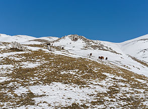 La punta di roccette di quota 1669m. posta tra Accio della Capra e Accio della Punta.