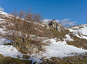 Scorcio nel Vallone Scafelli.