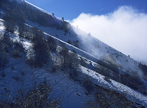Scorcio sui pendii a monte di Frattura Vecchia.