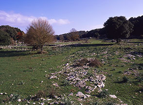 Il vasto piano pascolivo sulla cresta degli Ausoni sotto Monte Romano.