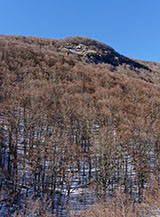 Scorcio sul fianco della Valle Ravara sotto Colle delle Scangive.