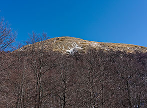 Sopra la volta boscosa si scorge finalmente la nostra meta: il Monte Rotondo.