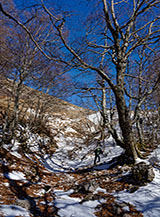 Verso l&rsquo;uscita dal bosco alla testata della Valle Ravara.
