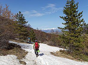 Sulla via del ritorno ai margini del Bosco le Cese.