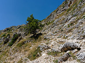 Lungo il sentiero poco prima di attraversare il Male Passo.